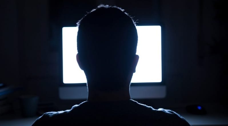 , Pornographie, cyber arnaques, outrage en ligne : que va changer la loi sur le numérique finalement adoptée