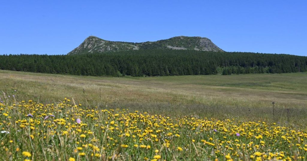 , Haute-Loire. Vers une labellisation « Grand Site de France » du Gerbier-Mézenc ?