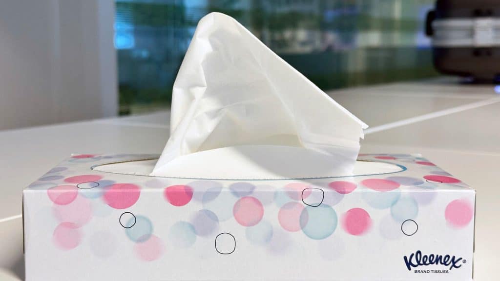 , Kleenex, Caddie, Sopalin, Karcher… Ces marques devenues des noms communs